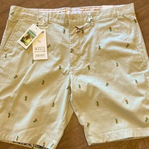 Khaki shorts. Great for the beach or just chillin. The shorts never been worn